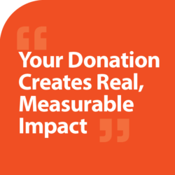 donate now-02